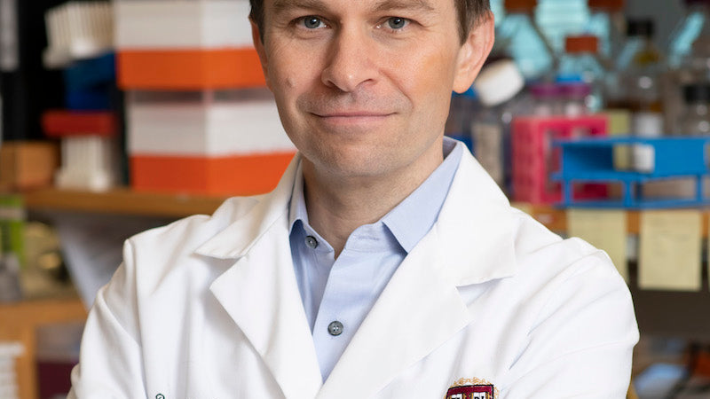 NMN Supplements David Sinclair