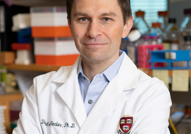 NMN Supplements David Sinclair