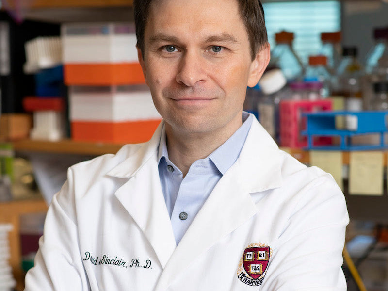 NMN Supplements David Sinclair